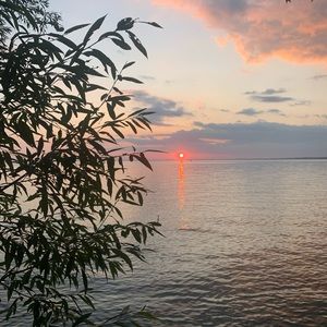 Meet your Posher, Ella